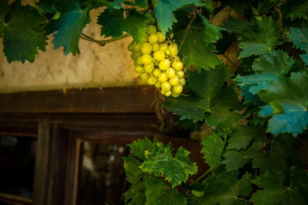 Chateau Le Bouis Gruissan Kültér fotó